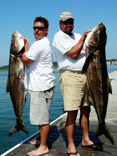 PENN Tackle Review Archives - Wrightsville Beach Fishing Report with Capt.  Jot Owens