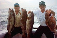 Grouper11082006-004