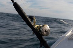 150913_SRW4875-1
