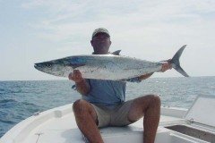 28lb-king
