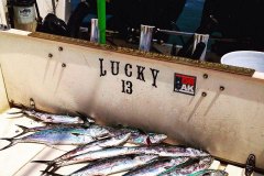 spanish-mackerel-lucky-13-1
